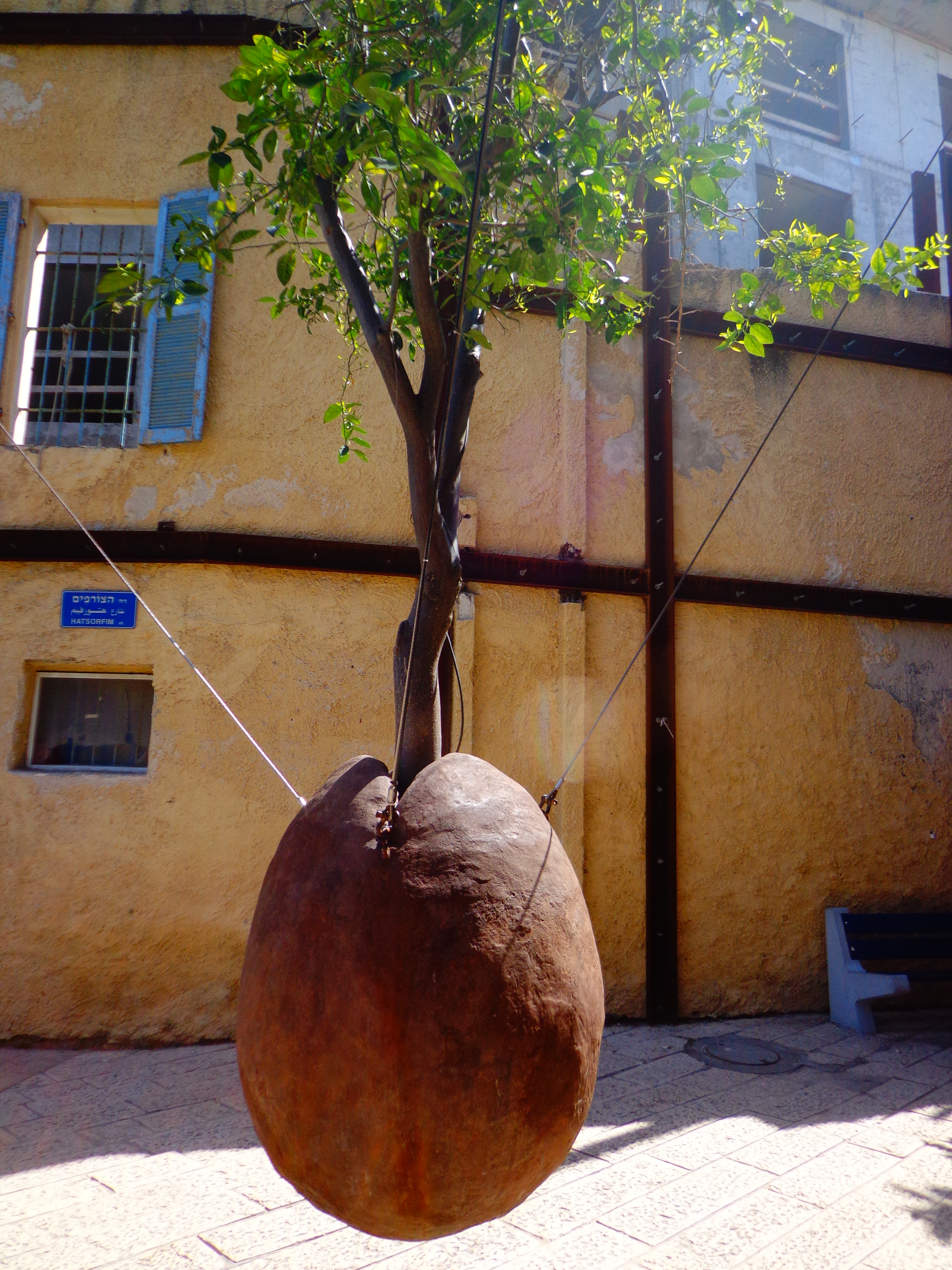 Cela fait longtemps qu'il n'y plus d'orangers à Jaffa, hormis celui-ci, déraciné, symbole du passé par l'artiste Ran Morin